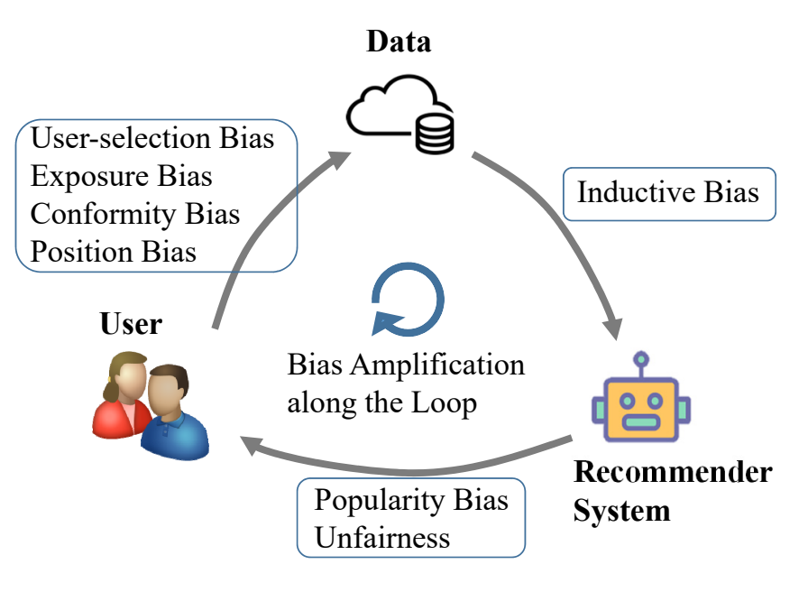 Bias-amplification feedback loop from the recommendation survey